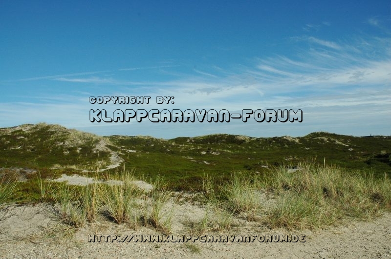 Dünen Sylt 2