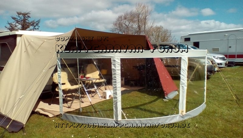 Folkerts Safir
