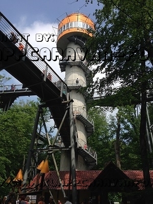 Das Rudeltreffen 2016