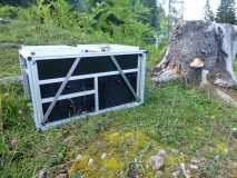 The Kitchen-Box 1.0