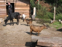 Der Platz