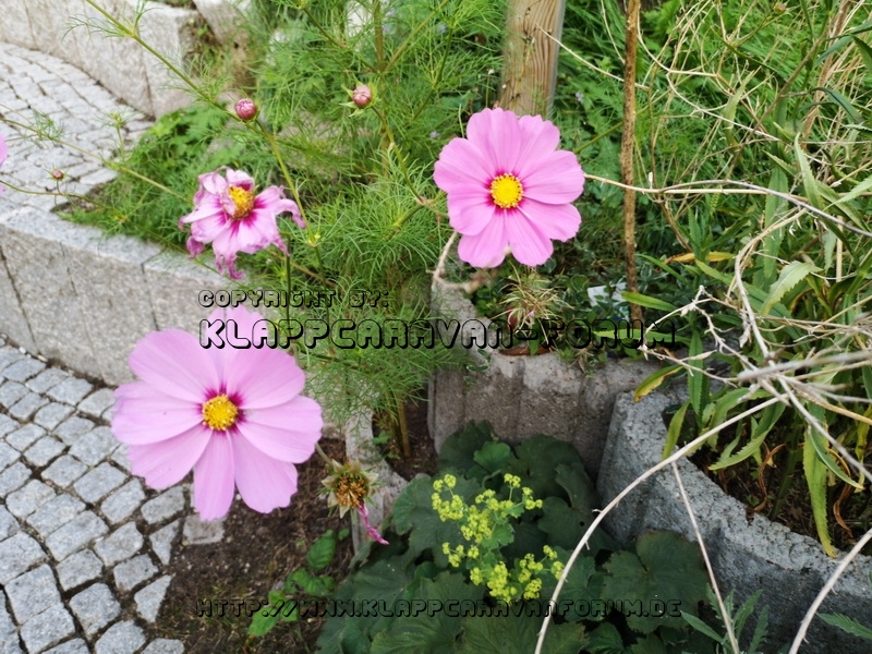 031   Natur