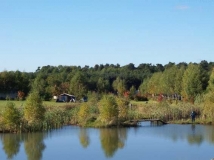 CP Bertingen