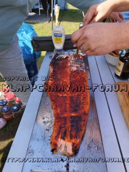 IMG-20221002-WA0024