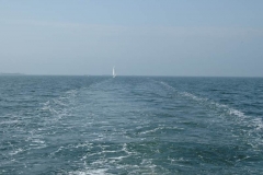 Rundfahrt von Yerseke aus auf der Oosterschelde