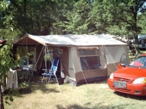 Declan und Sandy's Falter