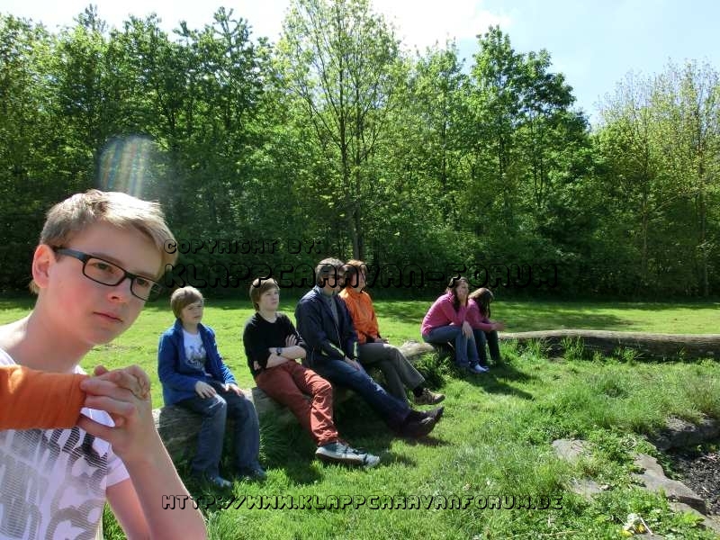 Dransfeld2012 (3)