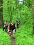 Dransfeld2012 (20)