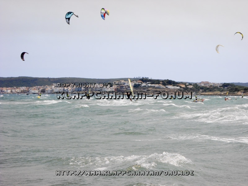 La Ballena Alegre