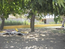 La Ballena Alegre
