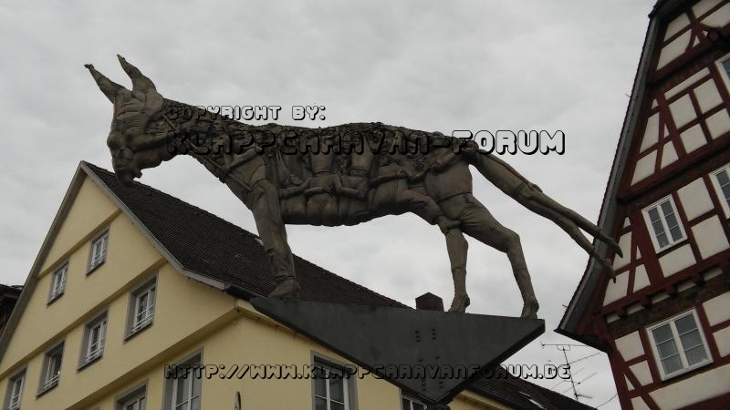 Bilderrätsel Wolf